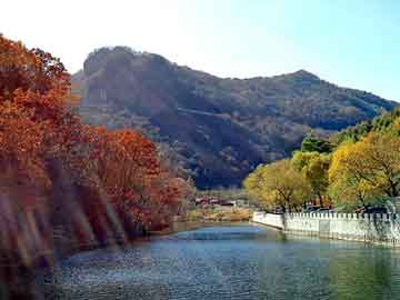 小货车配货平台：小身材，大智慧